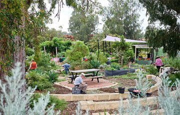 Community gardens